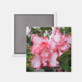Dubbele rode en witte Azaleas Spring Floral Magneet (Voorkant / Achterkant)