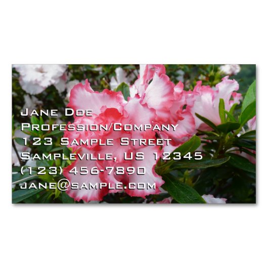 Dubbele rode en witte Azaleas Spring Floral Magnetisch Visitekaartje (Voorkant)