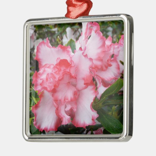 Dubbele rode en witte Azaleas Spring Floral Metalen Ornament (Links)