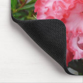 Dubbele rode en witte Azaleas Spring Floral Muismat (Hoek)