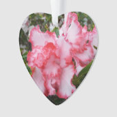 Dubbele rode en witte Azaleas Spring Floral Ornament (voorkant)