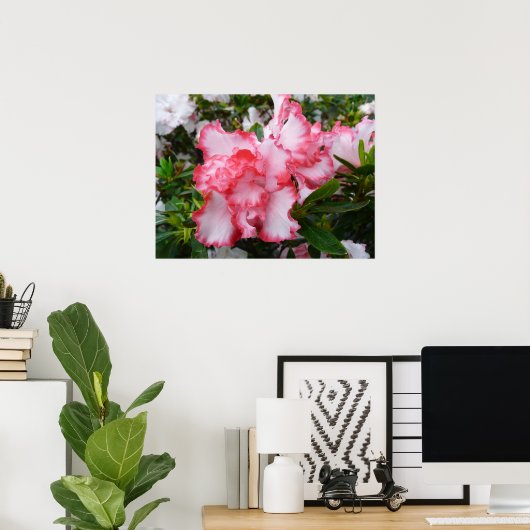 Dubbele rode en witte Azaleas Spring Floral Poster (Thuiskantoor)