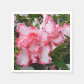 Dubbele rode en witte Azaleas Spring Floral Servet (Voorkant)