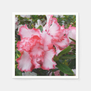 Dubbele rode en witte Azaleas Spring Floral Servet