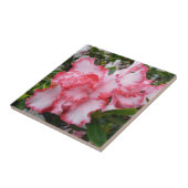Dubbele rode en witte Azaleas Spring Floral Tegeltje (Zijkant)