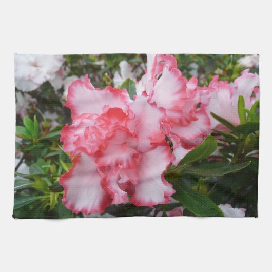 Dubbele rode en witte Azaleas Spring Floral Theedoek (Horizontaal)