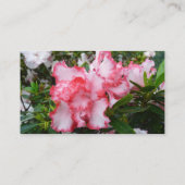 Dubbele rode en witte Azaleas Spring Floral Visitekaartje (Achterkant)