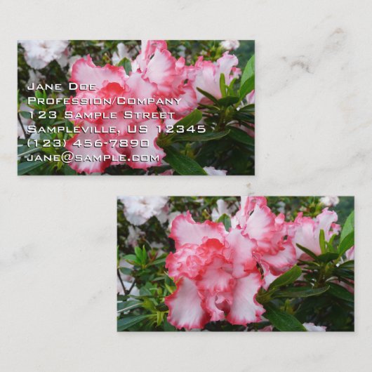 Dubbele rode en witte Azaleas Spring Floral Visitekaartje (Voorkant / Achterkant)
