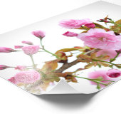 Dubbele roze kersenbloesems in de welkomstlente foto afdruk (Hoek)
