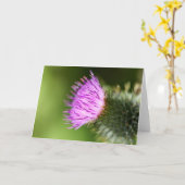 Dubbele roze kersenbloesems in de welkomstlente kaart (Gele Bloem)