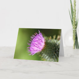 Dubbele roze kersenbloesems in de welkomstlente kaart