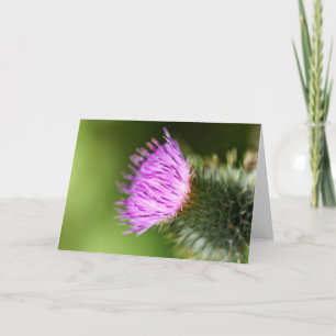 Dubbele roze kersenbloesems in de welkomstlente kaart