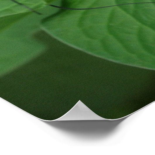 Dubbele tekencanvas poster (Hoek)