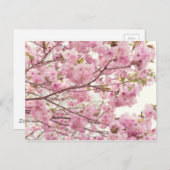 Dubbele torenbloesems in Japan Briefkaart (Voorkant / Achterkant)