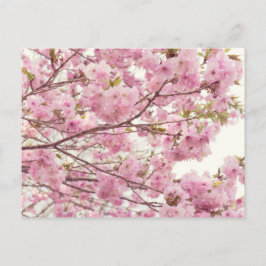 Dubbele torenbloesems in Japan Briefkaart