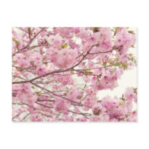 Dubbele torenbloesems in Japan