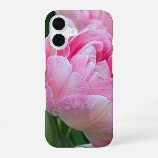Dubbele Tulpen Schoonheidsbloem iPhone 16 Hoesje (Achterkant)
