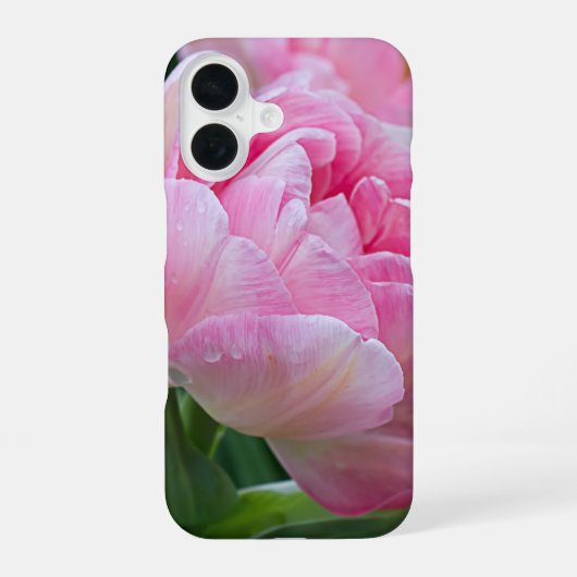 Dubbele Tulpenbloem met dauwdruppels iPhone 16 Hoesje (Achterkant)