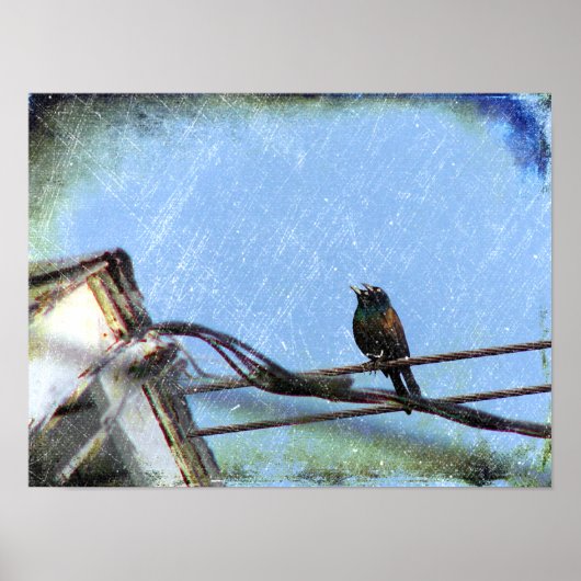 Dubbele visie poster (Voorkant)