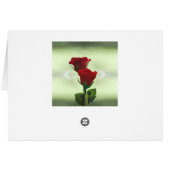 Dubbele vlam houdt van rode rozen (Achterkant Horizontaal)