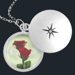 Dubbele vlam houdt van rode rozen zilver vergulden ketting<br><div class="desc">Red Roses symboliseren oprecht diep respect,  moed en oprechte gepassioneerde liefde. Rood is ook een energiekleur. Blauw is de kleur van de hemel. Groen is de kleur van de aarde. Natuur is de ultieme waarheid. Het is gewoon wat het is.</div>