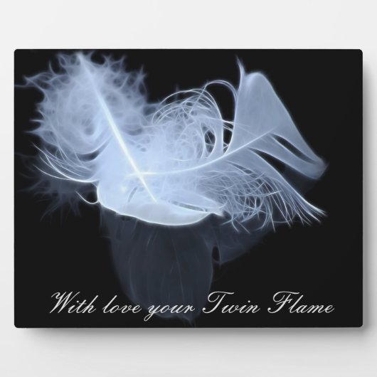 Dubbele vlamveren en reflectie fotoplaat (Voorkant)