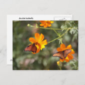 Dubbele vlinder briefkaart (Voorkant / Achterkant)