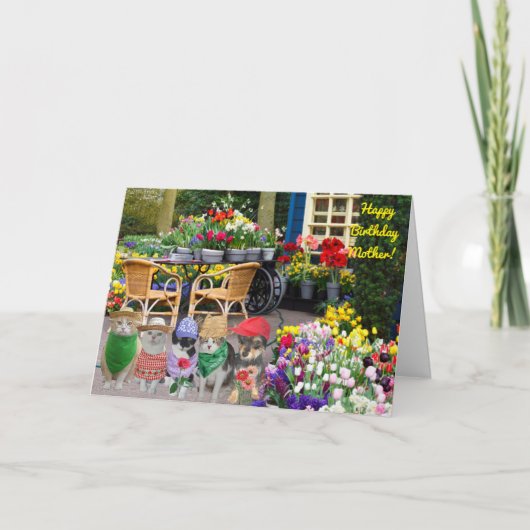 Dubbele Wenskaart Kaart (Voorkant)