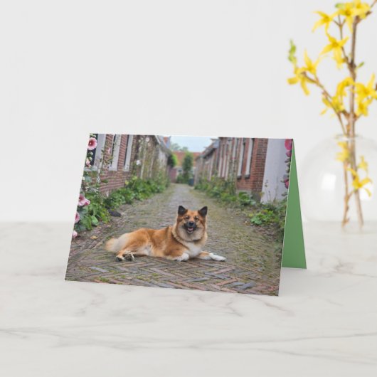 Dubbele wenskaart kaart (Gele Bloem)