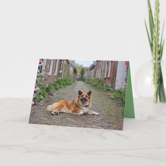 Dubbele wenskaart kaart (Voorkant)