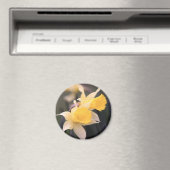 Dubbele Wild Daffodil Magnet (Insitu (Vaatwasser))