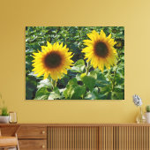 Dubbele zonnebloemen — Afdruk schilderCanvas Canvas Afdruk (Insitu (Woonkamer))