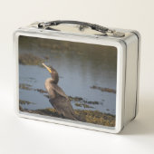 Dubbelkuif-aalscholver (Achterkant)