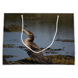 Dubbelkuif-aalscholver Groot Cadeauzakje