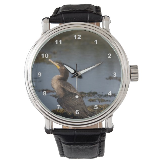 Dubbelkuif-aalscholver Horloge (Voorkant)