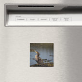 Dubbelkuif-aalscholver Magneet (Insitu (Vaatwasser))