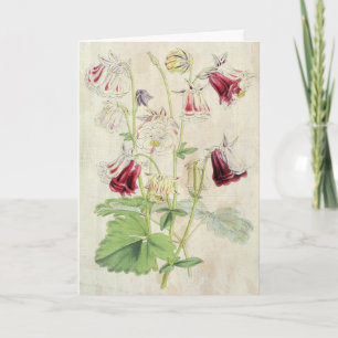  dubbelstreepte kolombinatie kaart