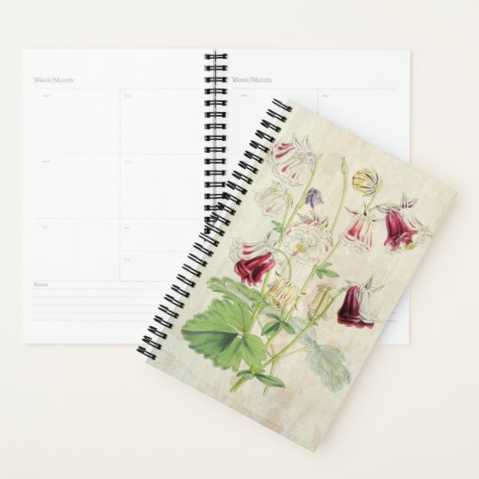 dubbelstreepte kolombinatie planner (Display)