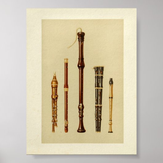 Dubbelvlokken, Duitse flet, fluweprothesen Poster (Voorkant)