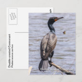 Dubbelvoudig creste aalscholver briefkaart (Voorkant / Achterkant)