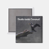 Dubbelvoudig creste aalscholver magneet (Voorkant / Achterkant)