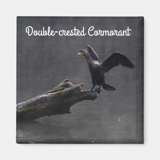 Dubbelvoudig creste aalscholver magneet (Voorkant)