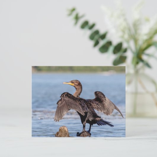 Dubbelvoudig gespleten aalscholver op het meer van briefkaart (Staand voorkant)