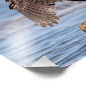 Dubbelvoudig gespleten aalscholver op het meer van foto afdruk (Hoek)