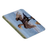 Dubbelvoudig gespleten aalscholver op het meer van magneet (Rechterzijde)