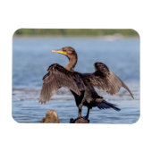 Dubbelvoudig gespleten aalscholver op het meer van magneet (Horizontaal)