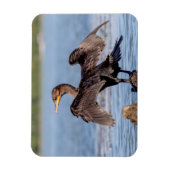 Dubbelvoudig gespleten aalscholver op het meer van magneet (Verticaal)