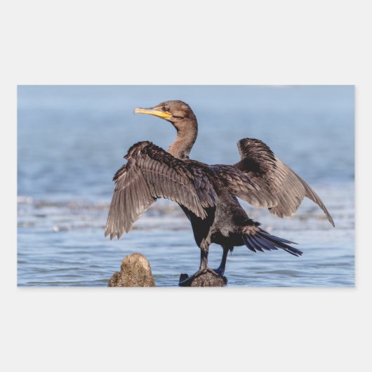 Dubbelvoudig gespleten aalscholver op het meer van rechthoekige sticker (Voorkant)