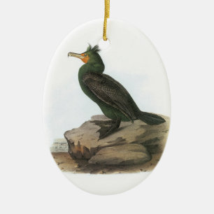 Dubbelvoudig gespleten aalscholver van Audubon Keramisch Ornament