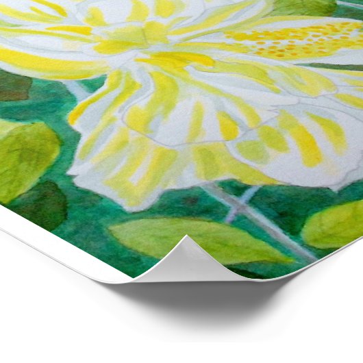 Dubbelwitte waterverf van hibiscus-bloem poster (Hoek)